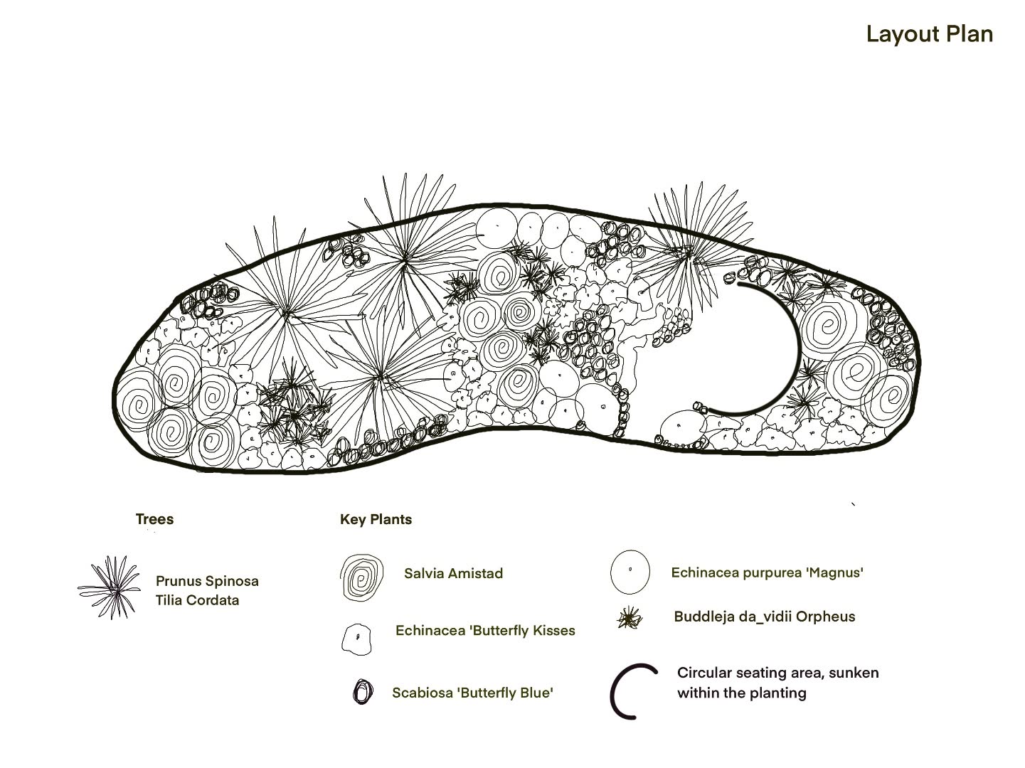 Hand-drawn layout plan for a butterfly-friendly garden with key plants annotated, including Salvia Amistad, Echinacea and Scabiosa.